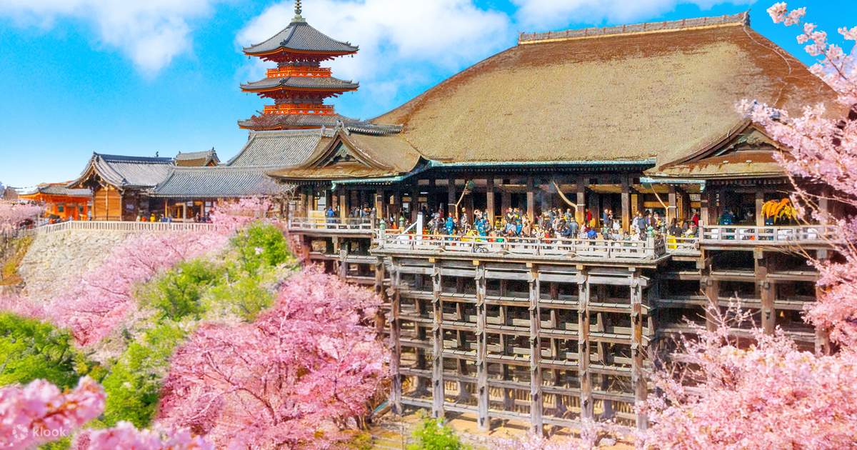 京都：金閣寺 & 清水寺 & 宇治川 & 平等院 日帰りツアー (大阪 / 京都